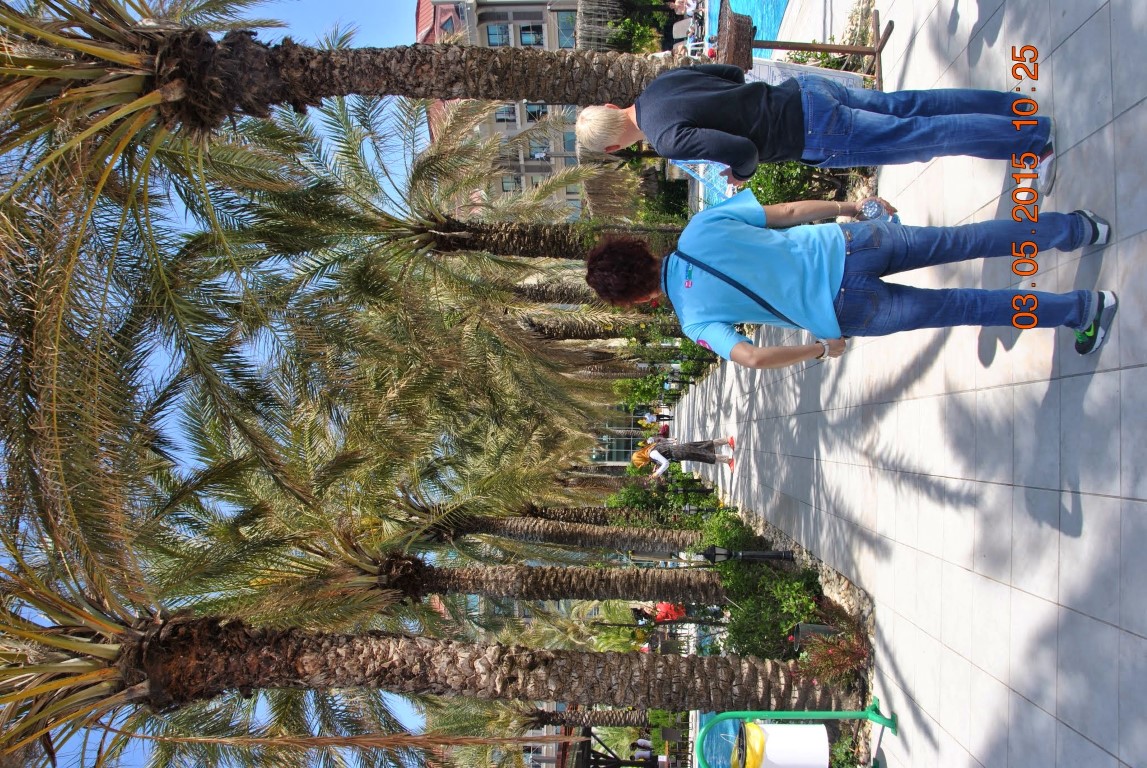 imagini hotel NASHIRA RESORT SIDE